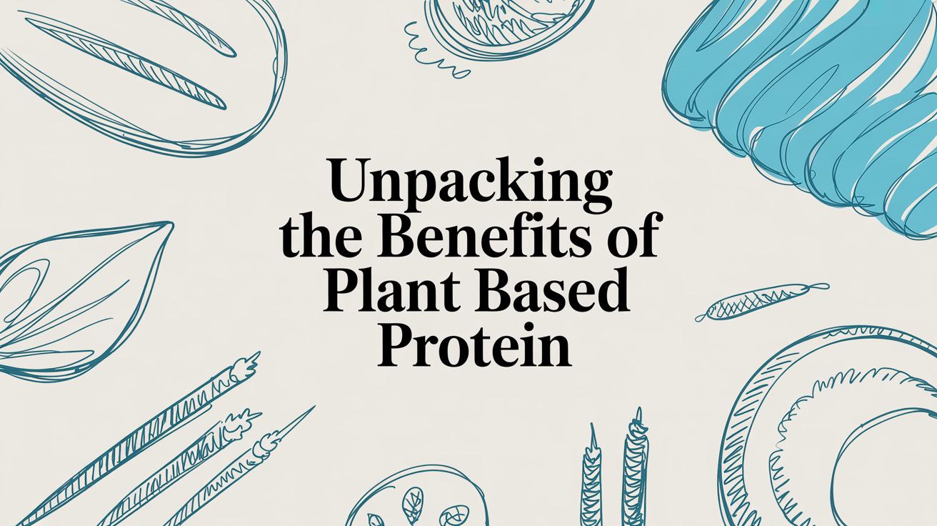 Unpacking the Benefits of Plant Based Protein