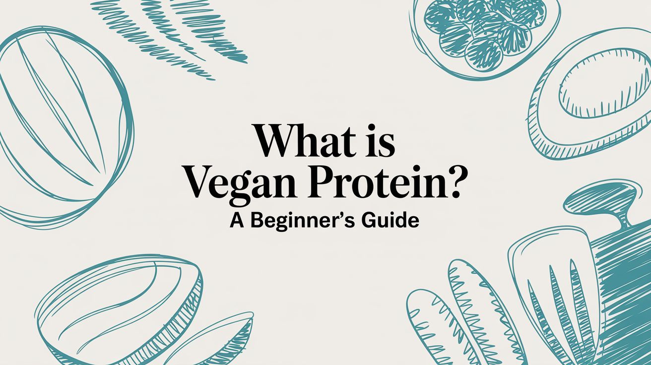 What Is Vegan Protein? A Beginner's Guide